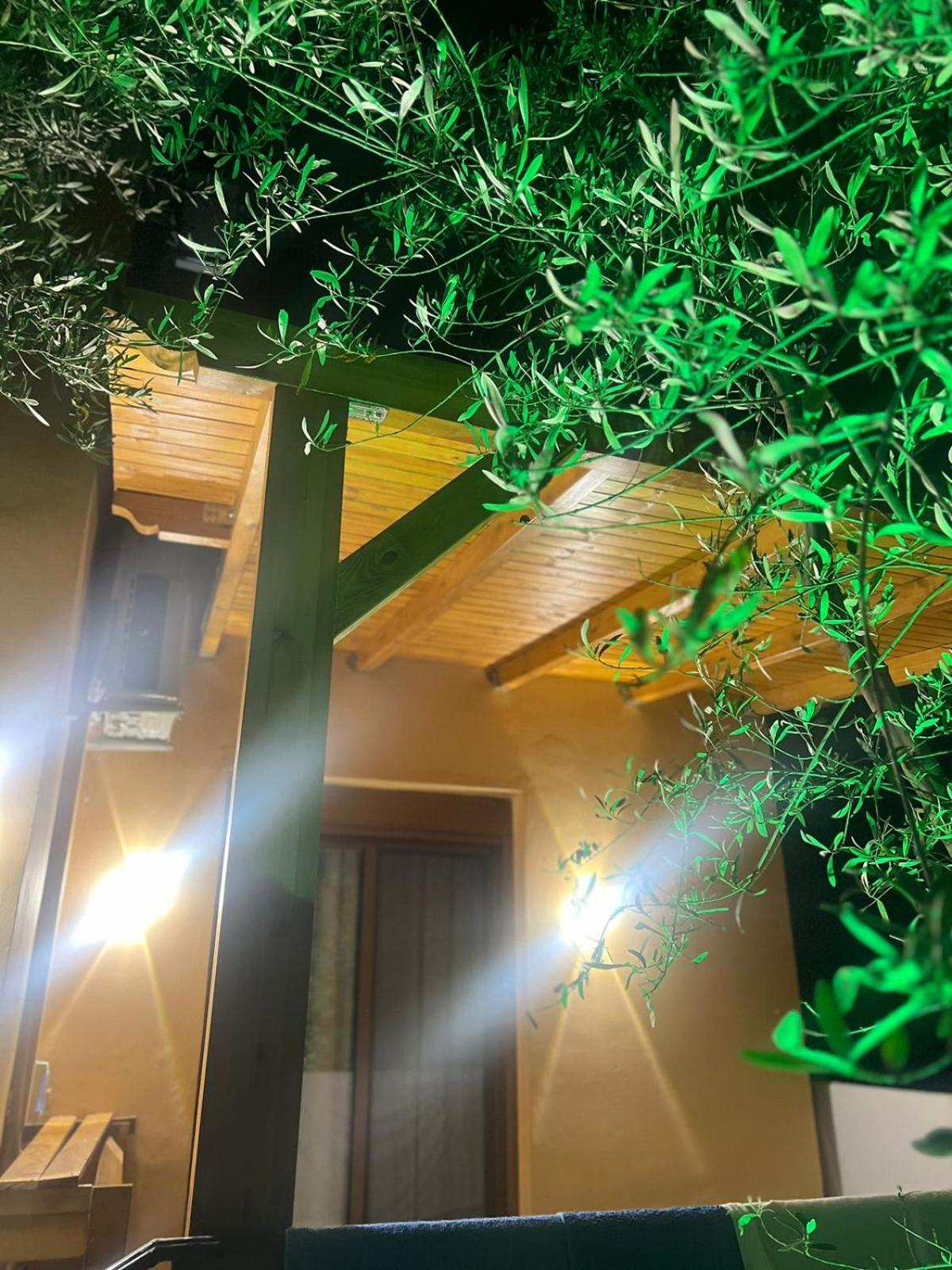 Vila Magis Vlorë 외부 사진