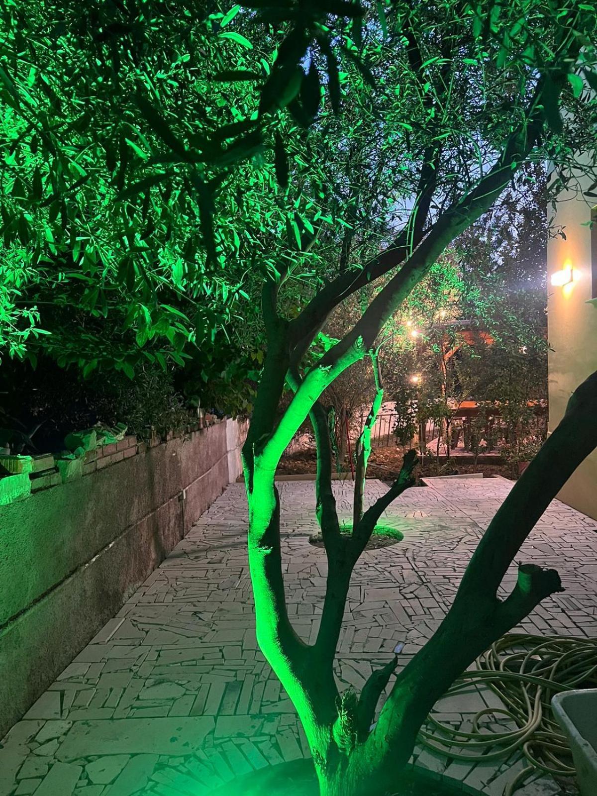 Vila Magis Vlorë 외부 사진