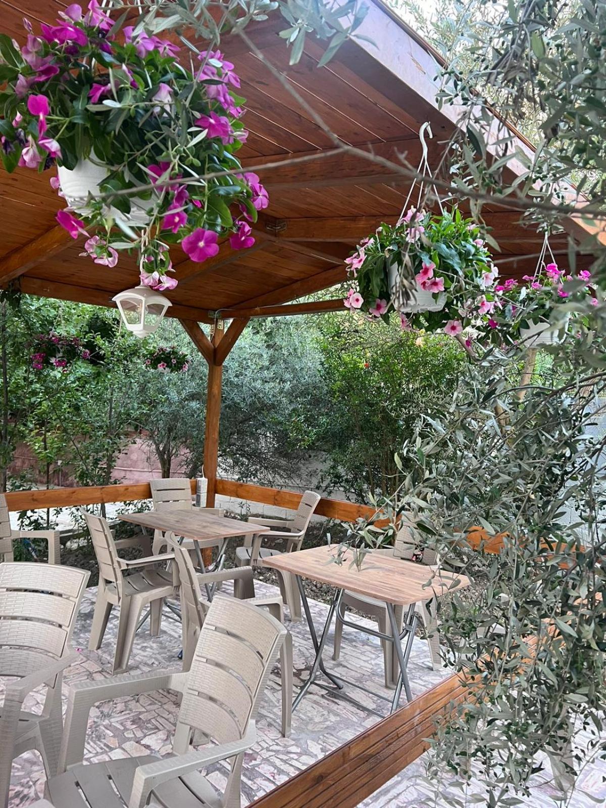 Vila Magis Vlorë 외부 사진