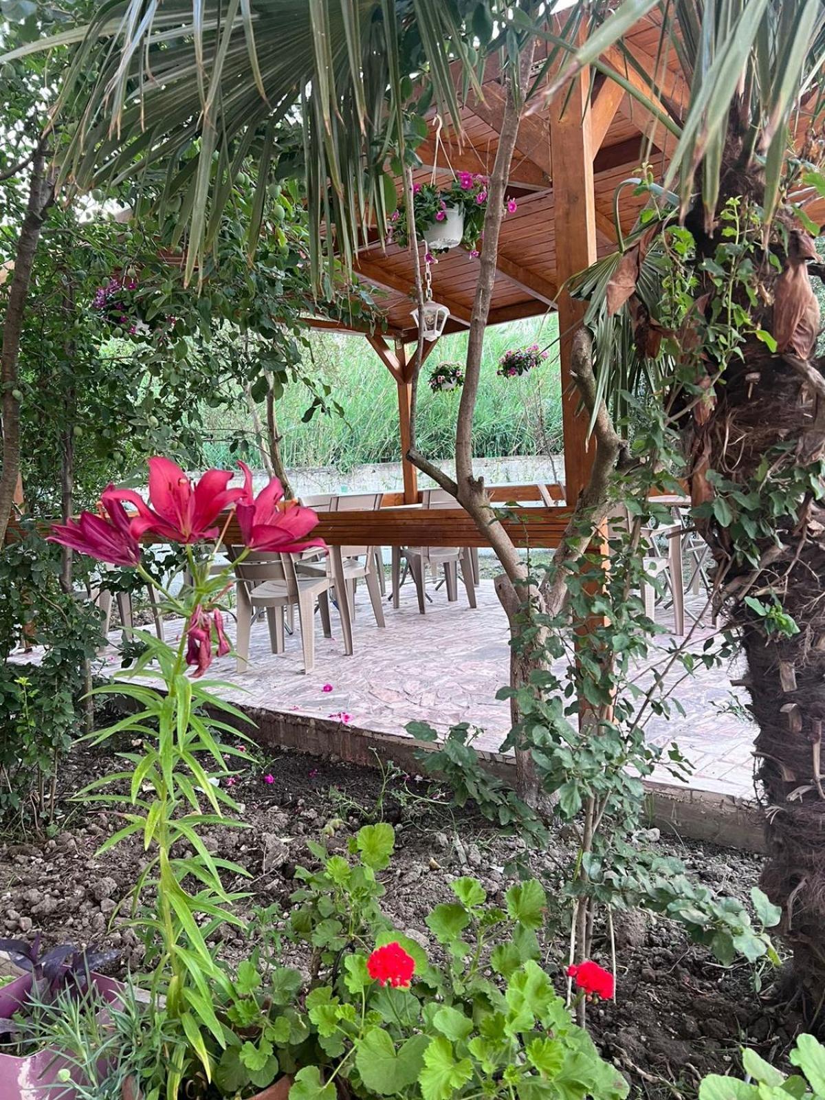 Vila Magis Vlorë 외부 사진